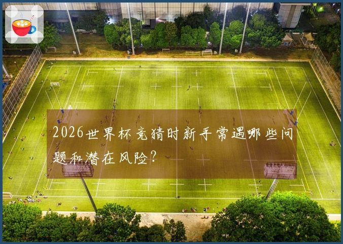 2026世界杯竞猜时新手常遇哪些问题和潜在风险？