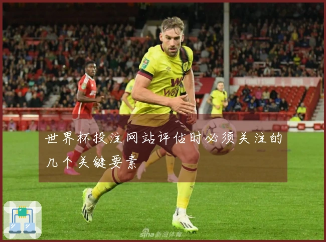 世界杯投注网站评估时必须关注的几个关键要素