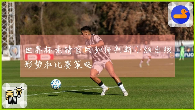世界杯竞猜官网如何判断小组出线形势和比赛策略