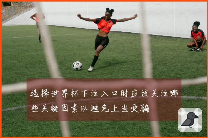 选择世界杯下注入口时应该关注哪些关键因素以避免上当受骗