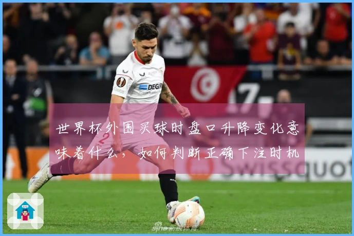 世界杯外围买球时盘口升降变化意味着什么，如何判断正确下注时机？