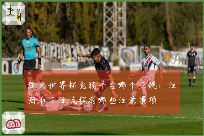 烽火世界杯竞猜平台哪个正规，注册和下注流程有哪些注意事项