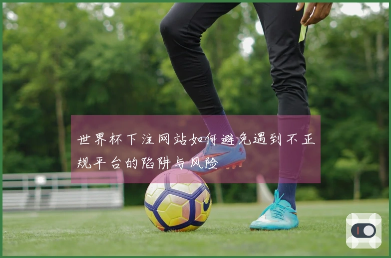 世界杯下注网站如何避免遇到不正规平台的陷阱与风险