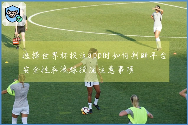 选择世界杯投注app时如何判断平台安全性和滚球投注注意事项