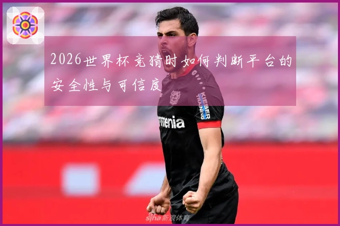 2026世界杯竞猜时如何判断平台的安全性与可信度