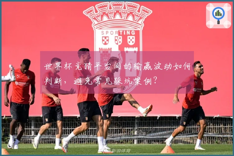 世界杯竞猜平台间的输赢波动如何判断，避免常见踩坑案例？