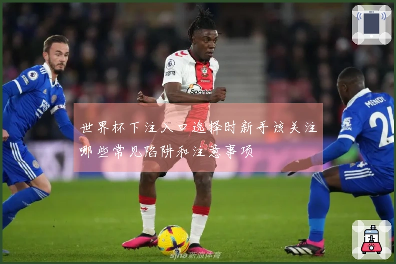 世界杯下注入口选择时新手该关注哪些常见陷阱和注意事项