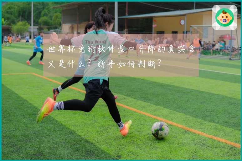 世界杯竞猜软件盘口升降的真实含义是什么？新手如何判断？