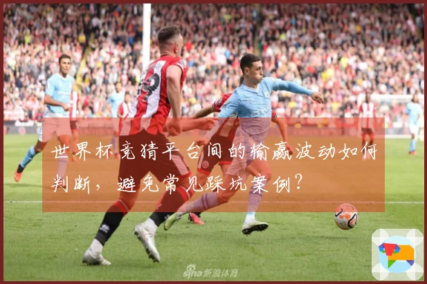 世界杯竞猜平台间的输赢波动如何判断，避免常见踩坑案例？