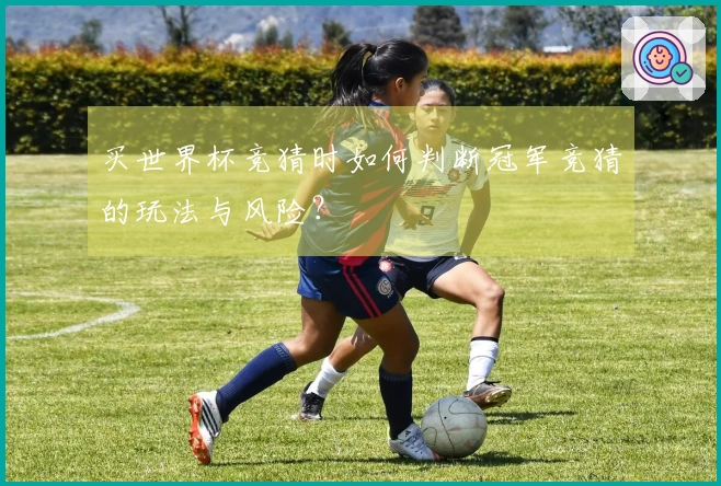 买世界杯竞猜时如何判断冠军竞猜的玩法与风险？