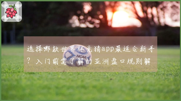 选择哪款世界杯竞猜app最适合新手？入门前需了解的亚洲盘口规则解析