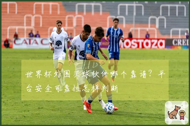 世界杯外围买球软件哪个靠谱？平台安全可靠性怎样判断