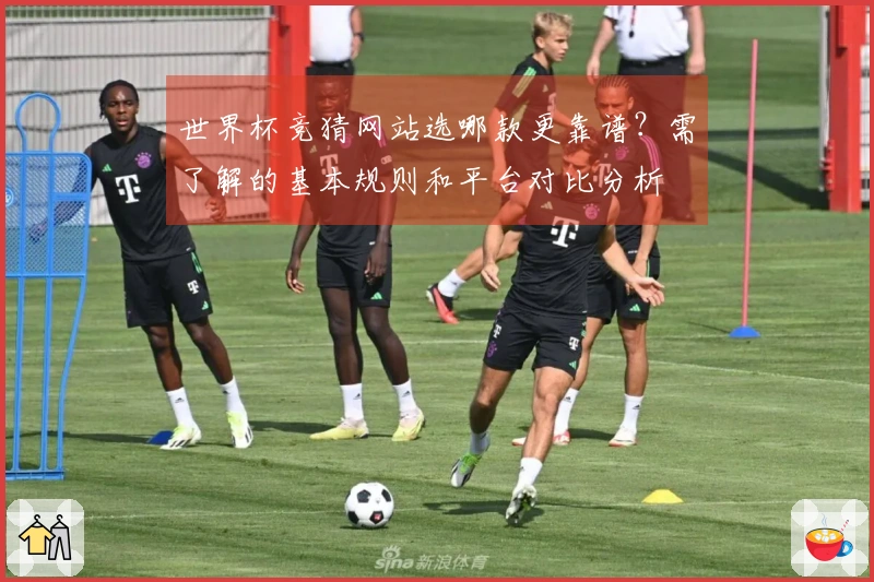 世界杯竞猜网站选哪款更靠谱？需了解的基本规则和平台对比分析