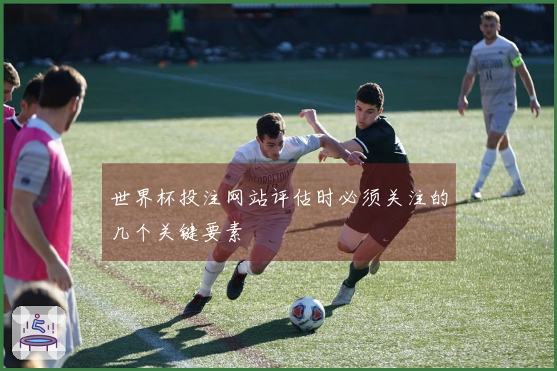 世界杯投注网站评估时必须关注的几个关键要素