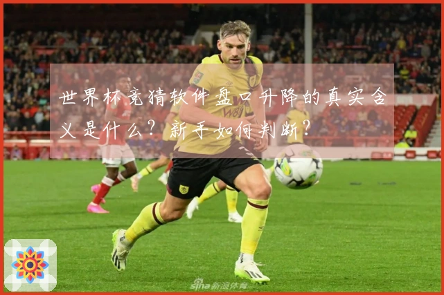 世界杯竞猜软件盘口升降的真实含义是什么？新手如何判断？