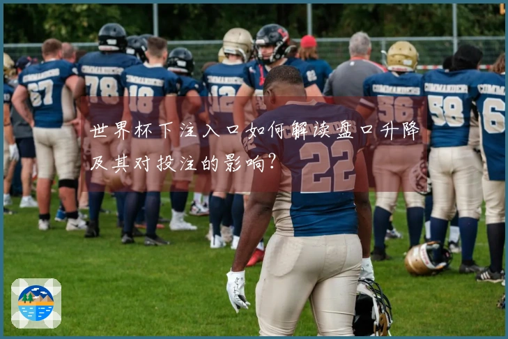 世界杯下注入口如何解读盘口升降及其对投注的影响？