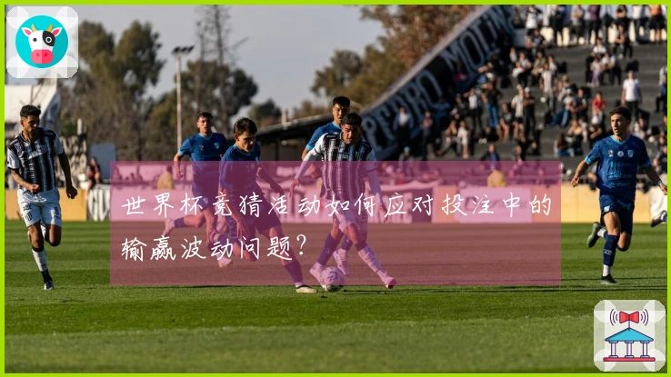 世界杯竞猜活动如何应对投注中的输赢波动问题？