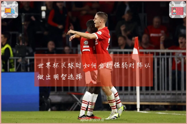 世界杯买球时如何分析强弱对阵以做出明智选择