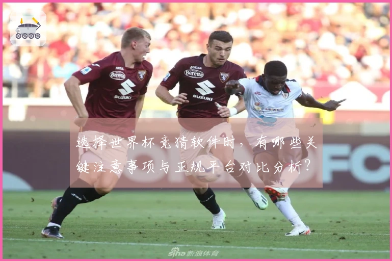 选择世界杯竞猜软件时，有哪些关键注意事项与正规平台对比分析？