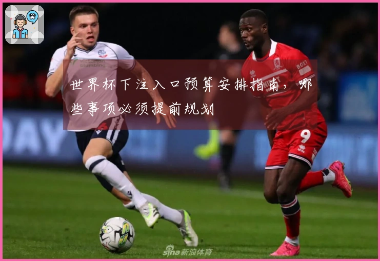 世界杯下注入口预算安排指南，哪些事项必须提前规划