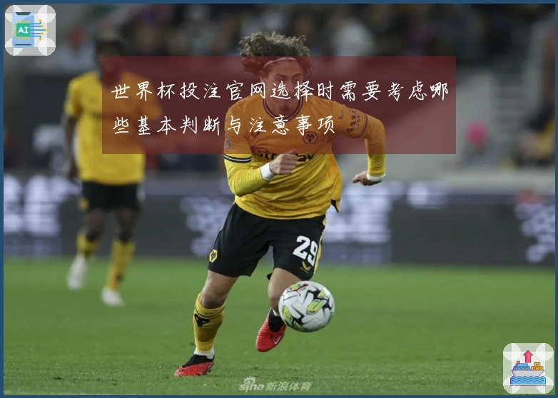 世界杯投注官网选择时需要考虑哪些基本判断与注意事项