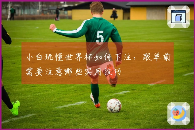 小白玩懂世界杯如何下注，跟单前需要注意哪些实用技巧
