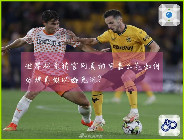 世界杯竞猜官网真的可靠么？如何分辨真假以避免坑？