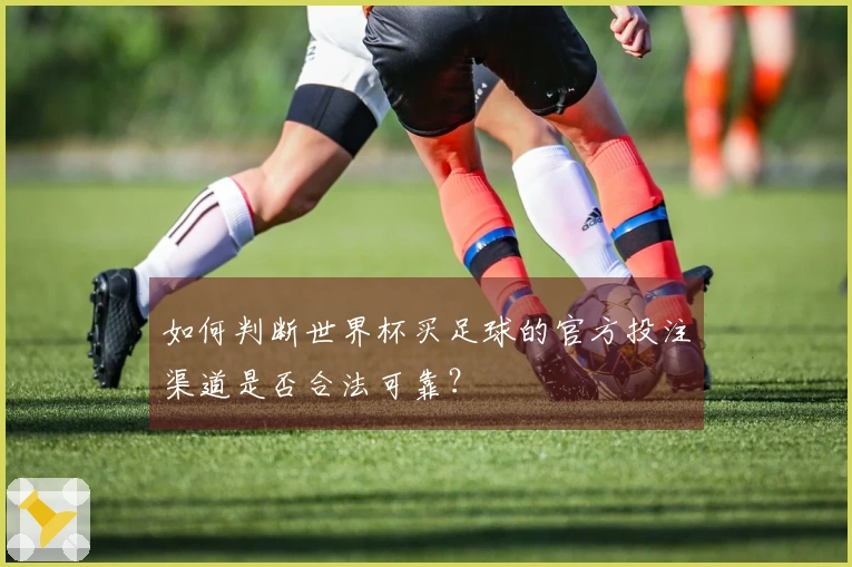 如何判断世界杯买足球的官方投注渠道是否合法可靠？