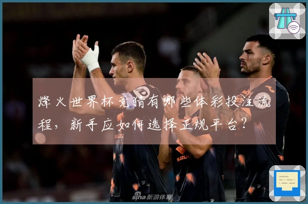 烽火世界杯竞猜有哪些体彩投注流程，新手应如何选择正规平台？