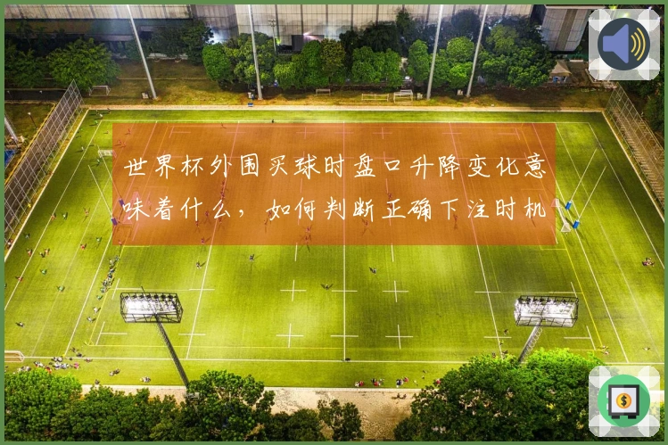 世界杯外围买球时盘口升降变化意味着什么，如何判断正确下注时机？
