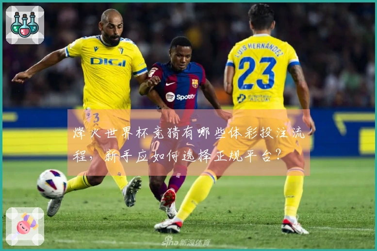 烽火世界杯竞猜有哪些体彩投注流程，新手应如何选择正规平台？